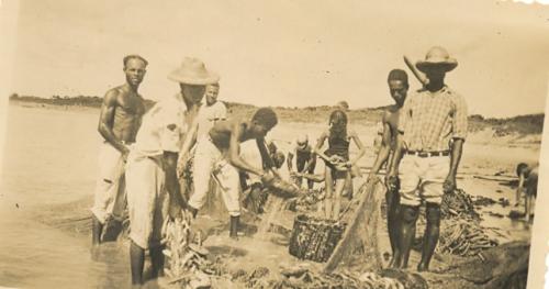 Arrast&atilde;o em 1950 