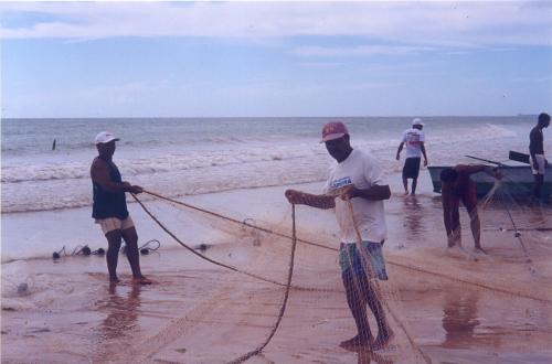 Pescadores puxam a rede de arrast&atilde;o - 2000  
